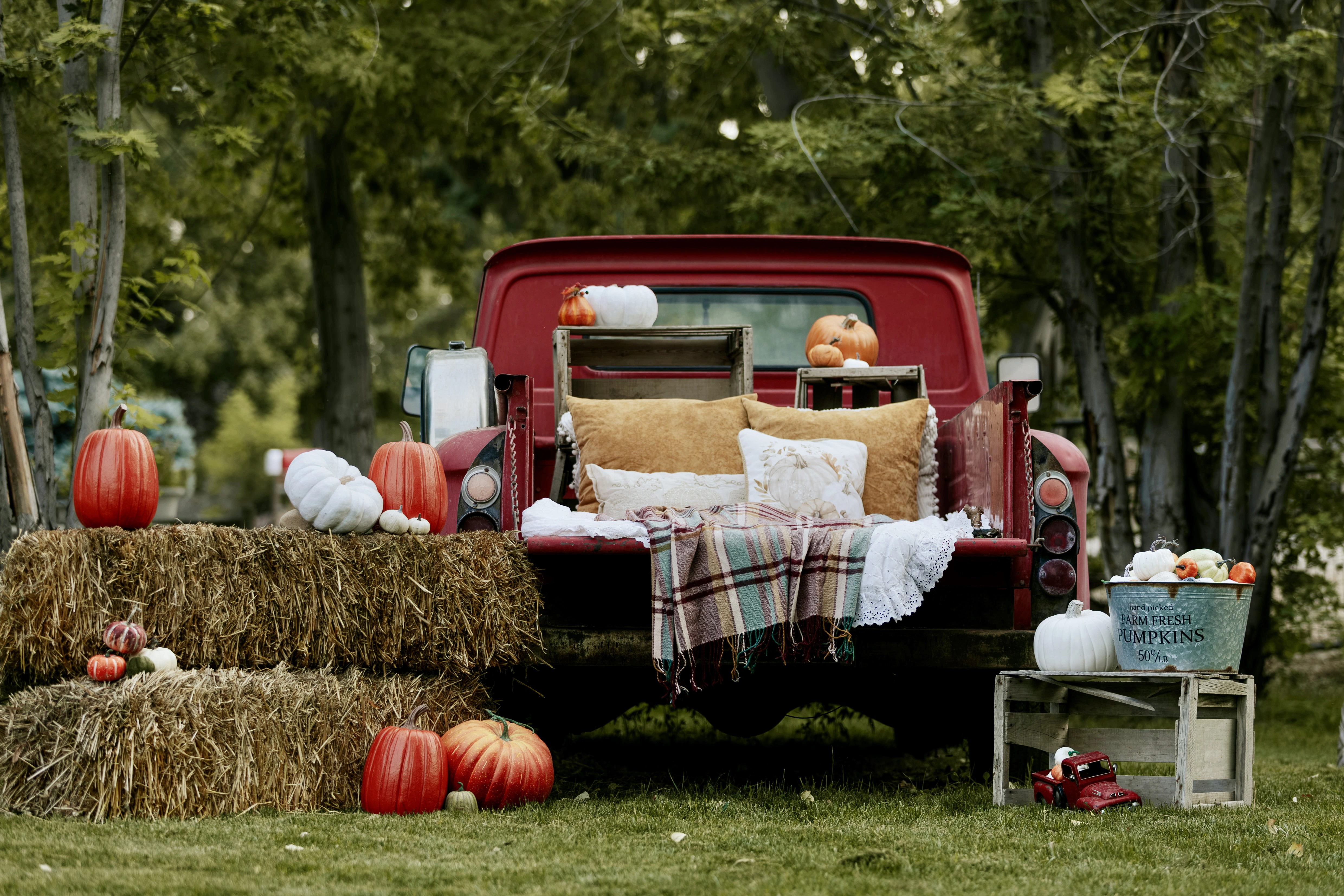 Autumn at the farm